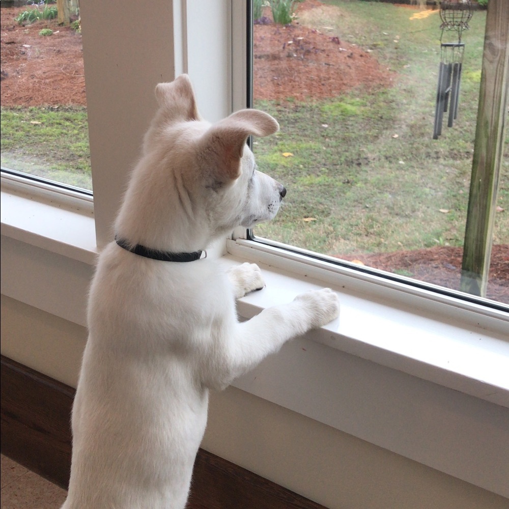 Meet your Posher, Leah